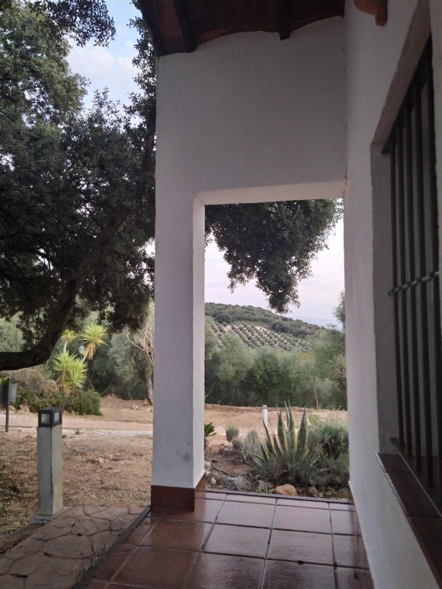 Casas Rurales Cortijo La Canada Estepa Chambre photo