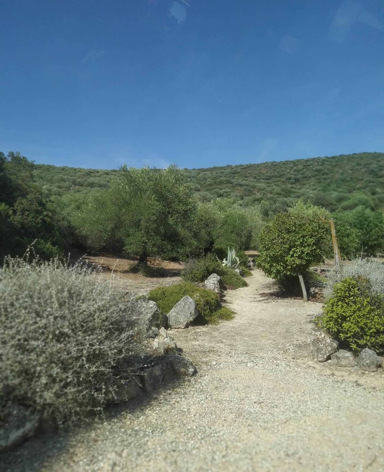 Casas Rurales Cortijo La Canada Estepa Chambre photo