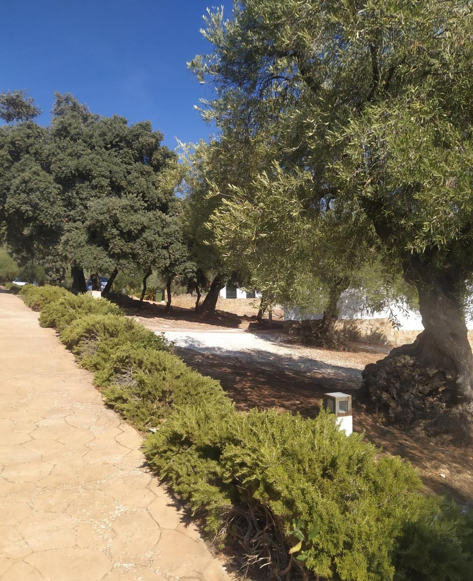 Casas Rurales Cortijo La Canada Estepa Chambre photo