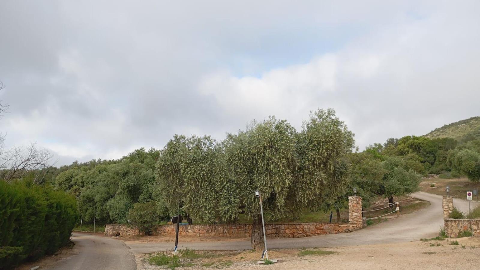 Casas Rurales Cortijo La Canada Estepa Extérieur photo