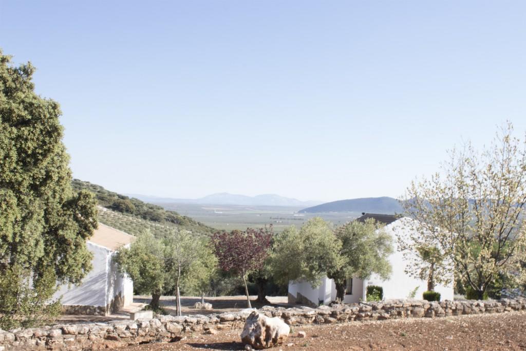 Casas Rurales Cortijo La Canada Estepa Extérieur photo